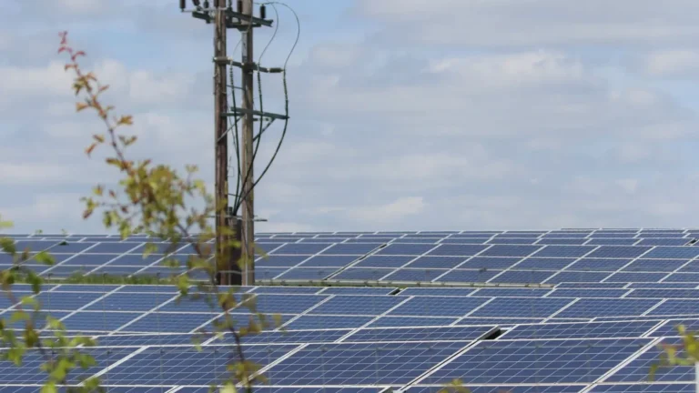 Geniş bir alana yayılmış güneş panelleri (fotovoltaik sistem) ve ön planda bir elektrik direği ile enerji iletim hattı.